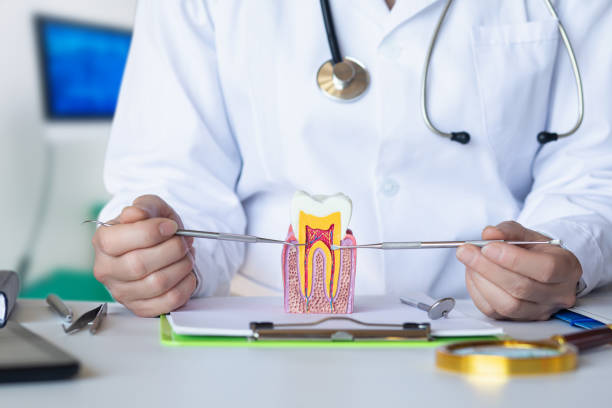 Best Dentist Open Late Near Me  in Belville, NC